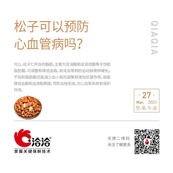 堅(jiān)果功效小科普 | 松子可以預(yù)防心血管病嗎？